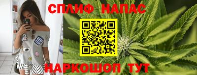 прущие грибы Кунгур